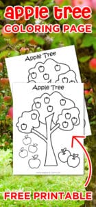 Free Printable Apple Tree Coloring Page - Made with HAPPY