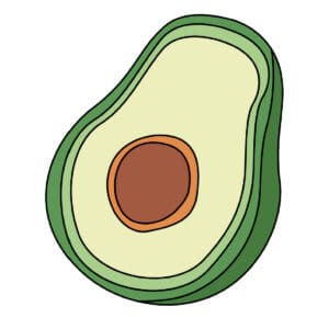 avocado drawing colored
