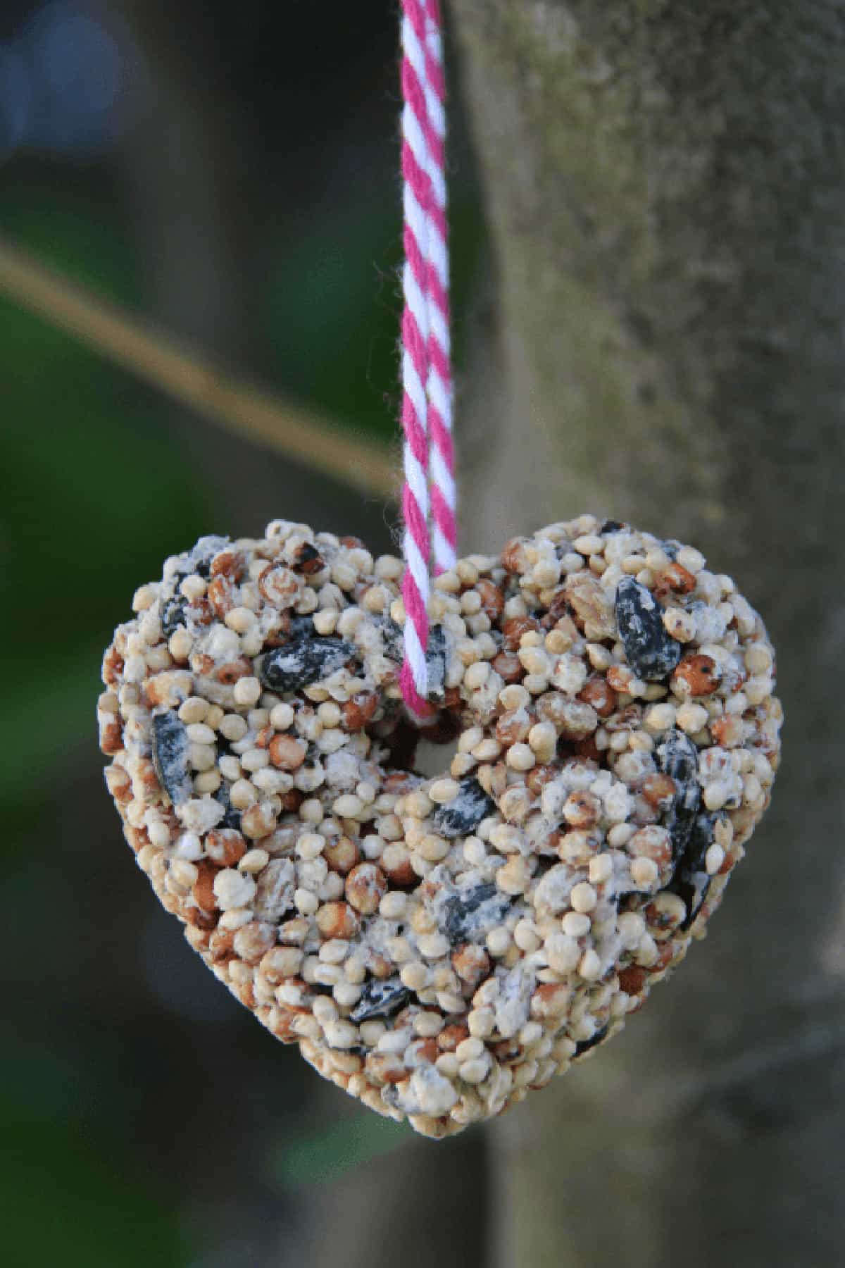 birdseed heart ornament