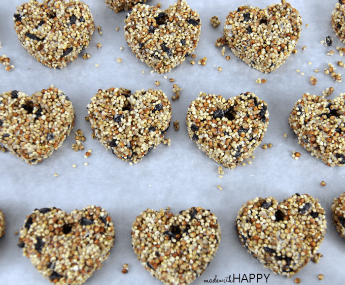 How to make a birdseed heart and free printable valentine. Perfect non-candy valentine that the kids will love to make!