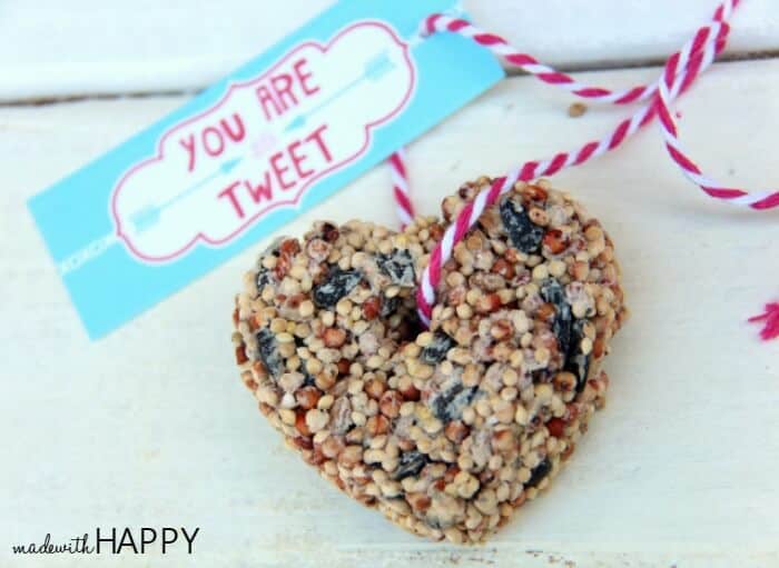 How to make a birdseed heart and free printable valentine. Perfect non-candy valentine that the kids will love to make!