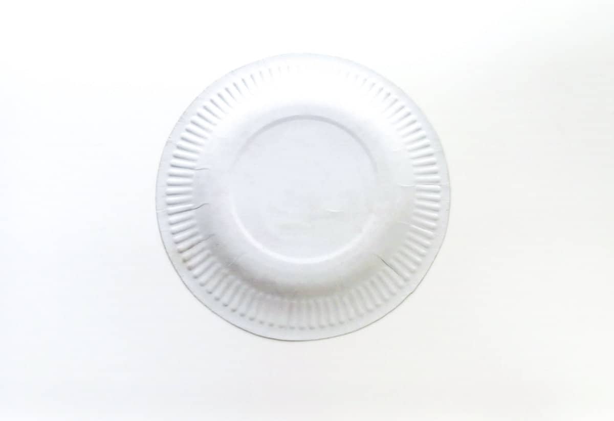 blank paper plate for boat craft