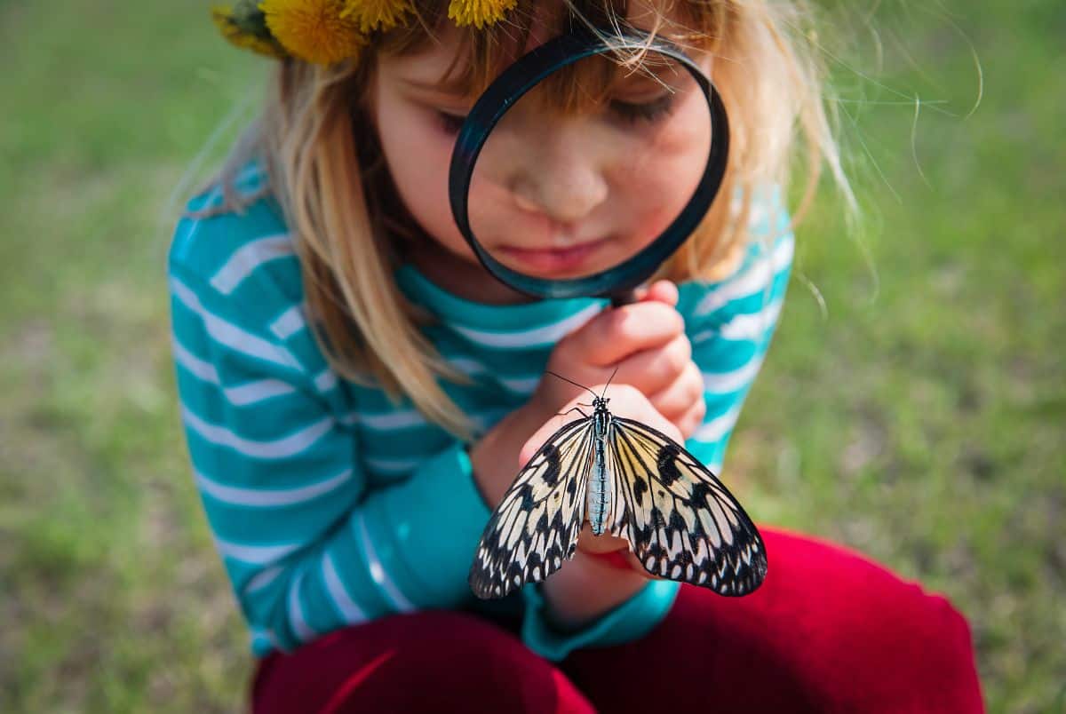 butterfly activities for kids