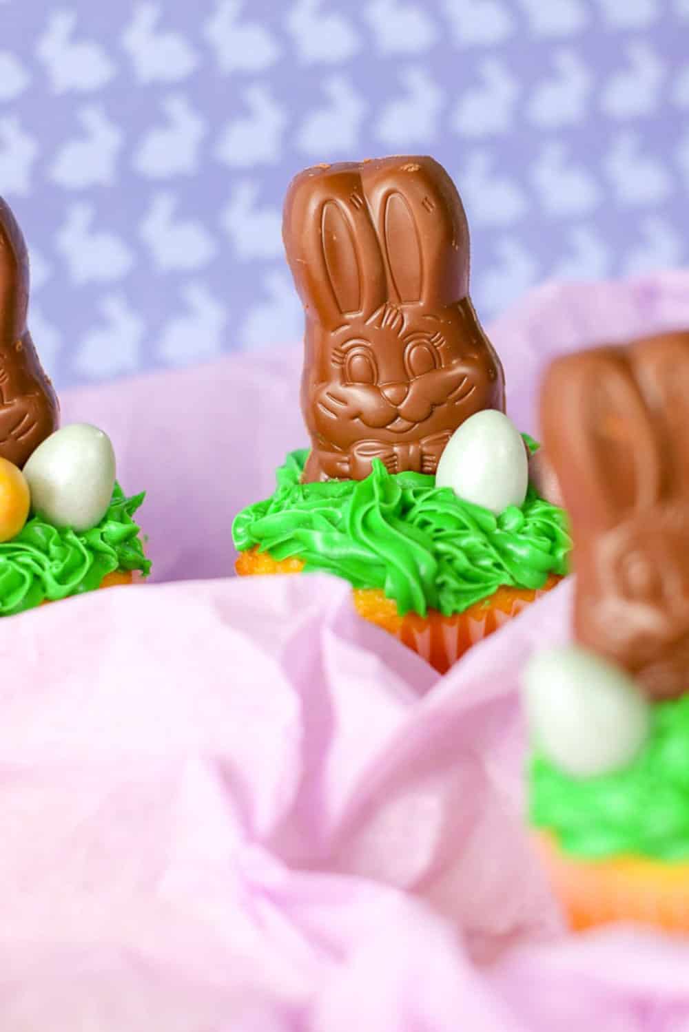 Chocolate Bunny Cupcakes
