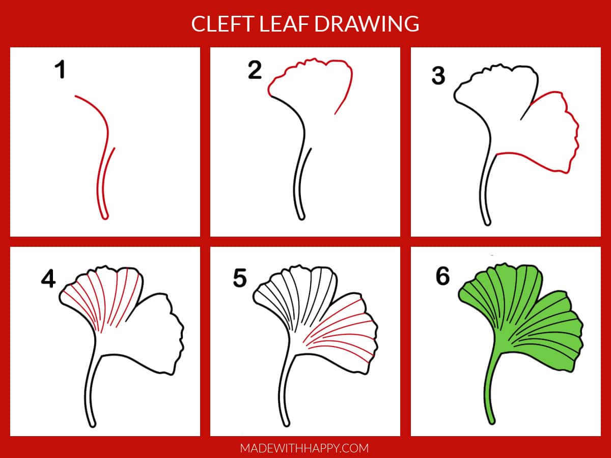 cleft leaf drawing