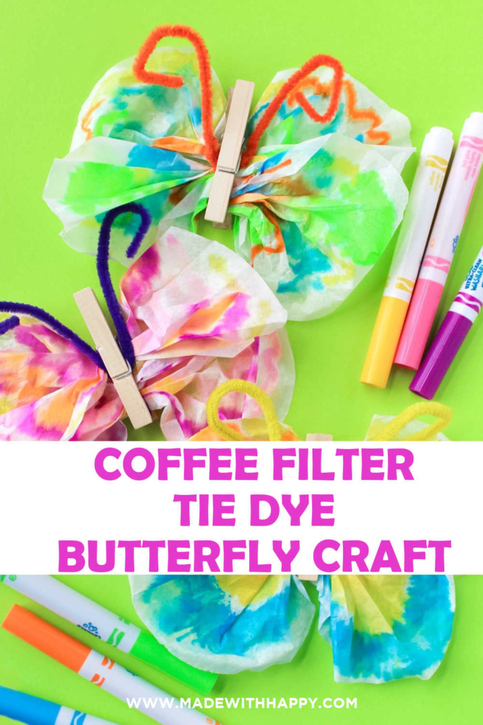 butterfly with coffee filter