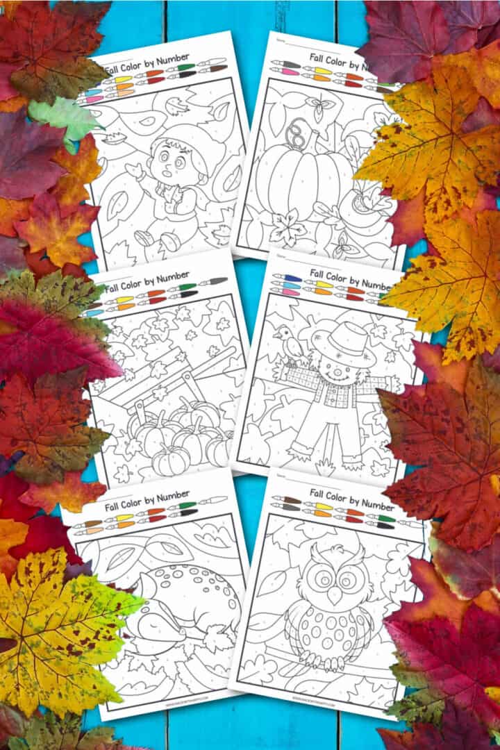 Free Fall Color By Number Printables - Made with HAPPY