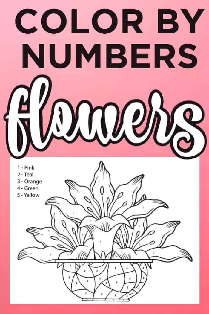 Color By Number Flowers