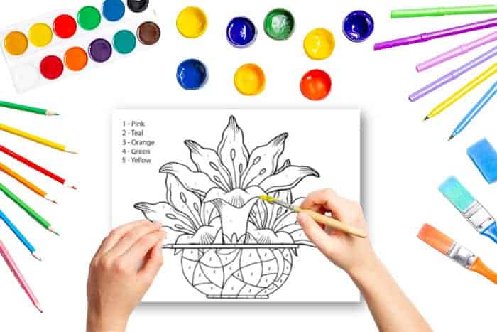 Kids Printable Color by Number