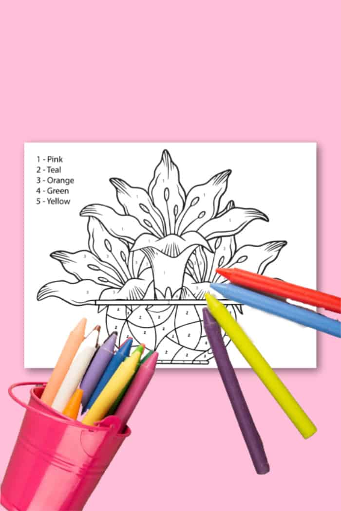 big color by numbers flowers book