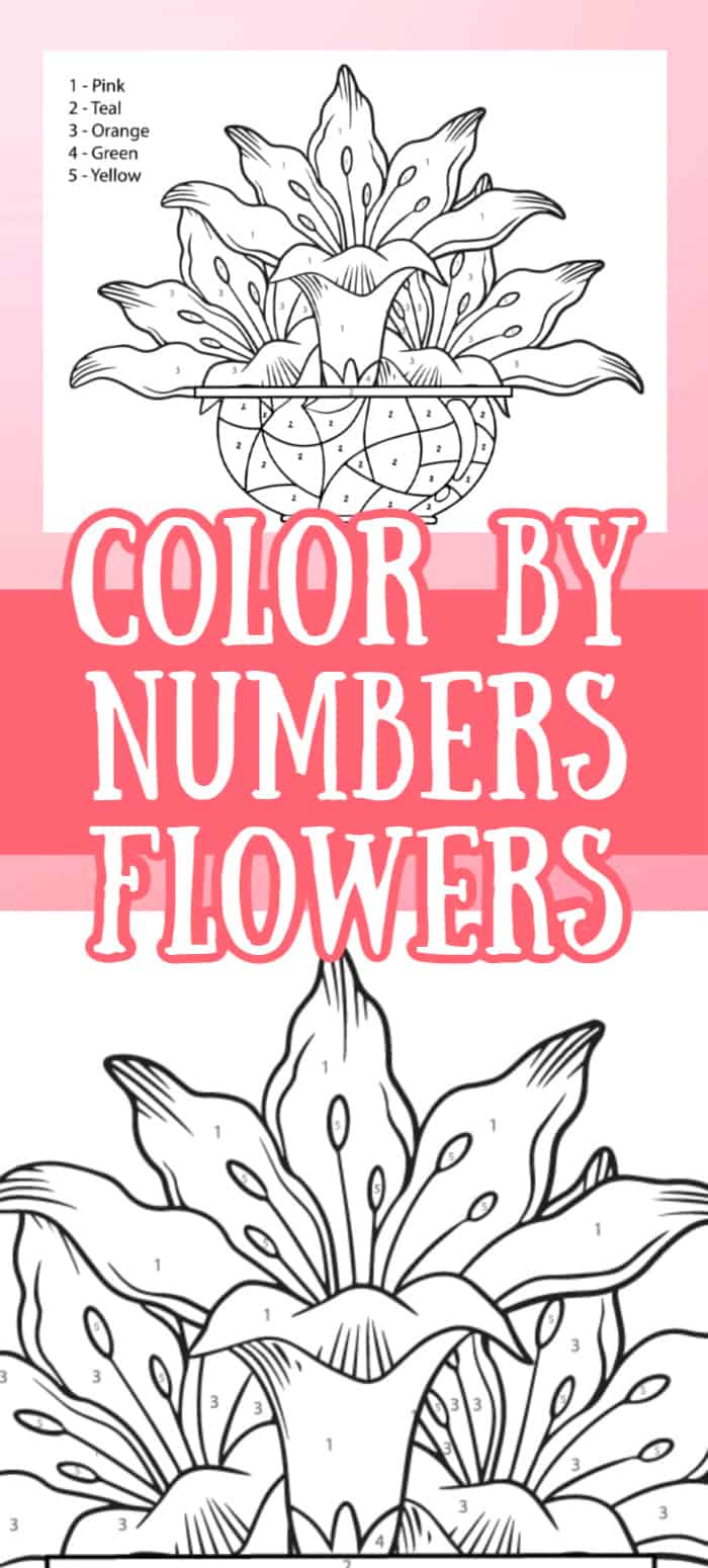 color by number flowers printable