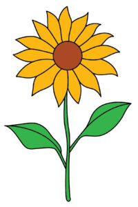 Colored Sunflower Drawing