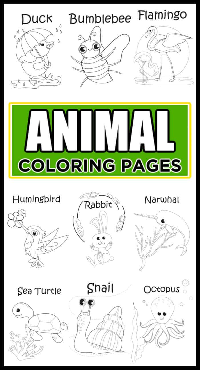 coloring pages animals