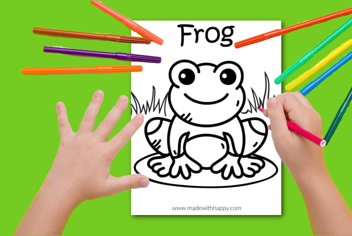 coloring pages frog