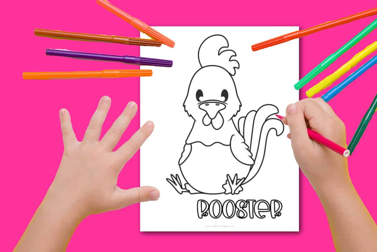 coloring pages rooster