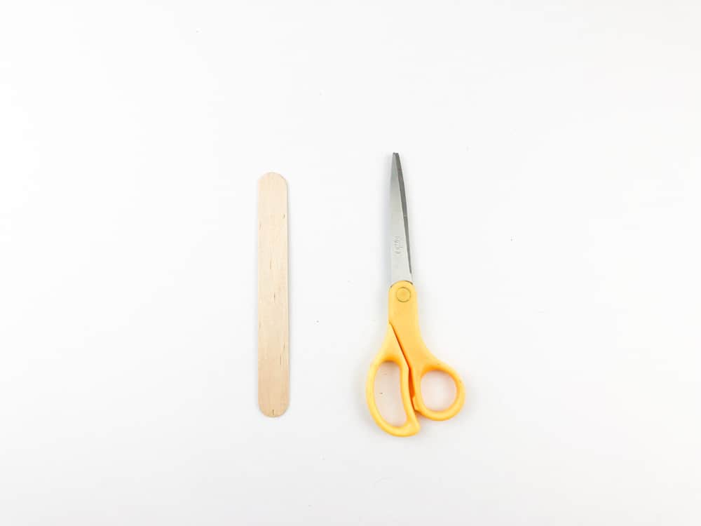 Craft Stick and Scissors