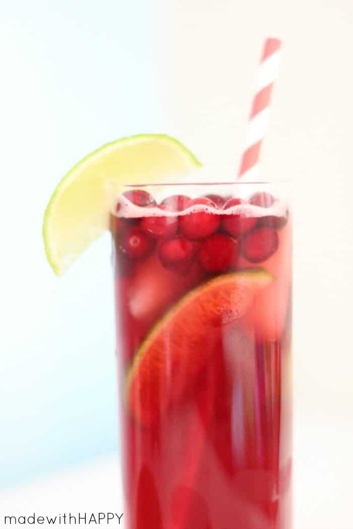 cranberry-ginger-cocktail-5
