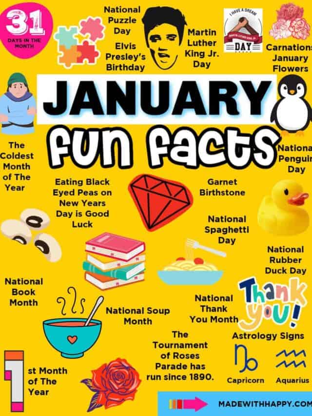 Fun Facts in January Made with HAPPY