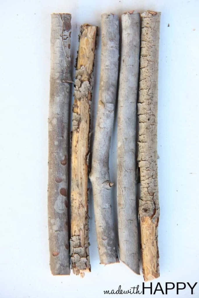 How to Make Twig Pencils – Scout Life magazine