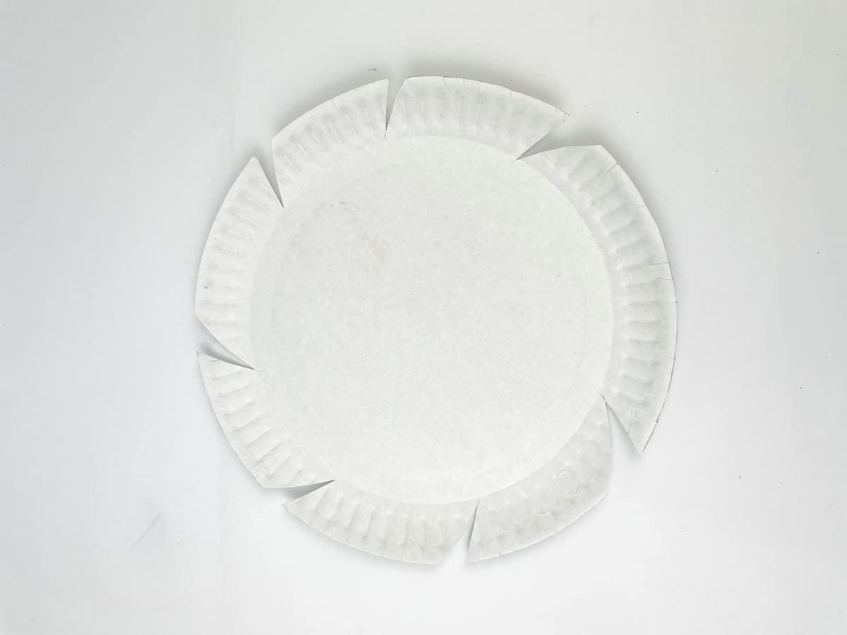 cut out side of paper plate for sunflower