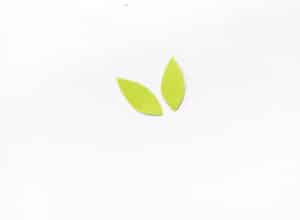 cut out two green leaves