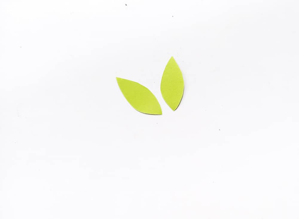 cut out two green leaves