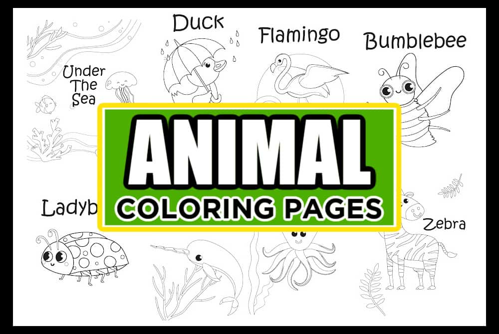 cute animal coloring pages