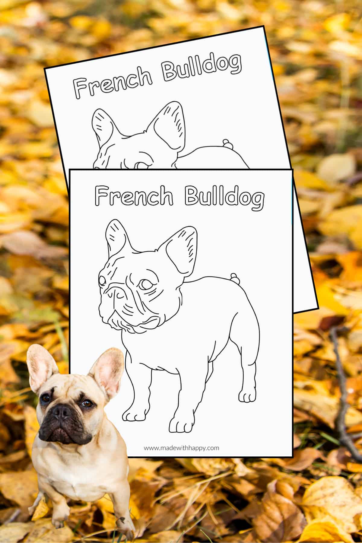 cute french bulldog coloring pages