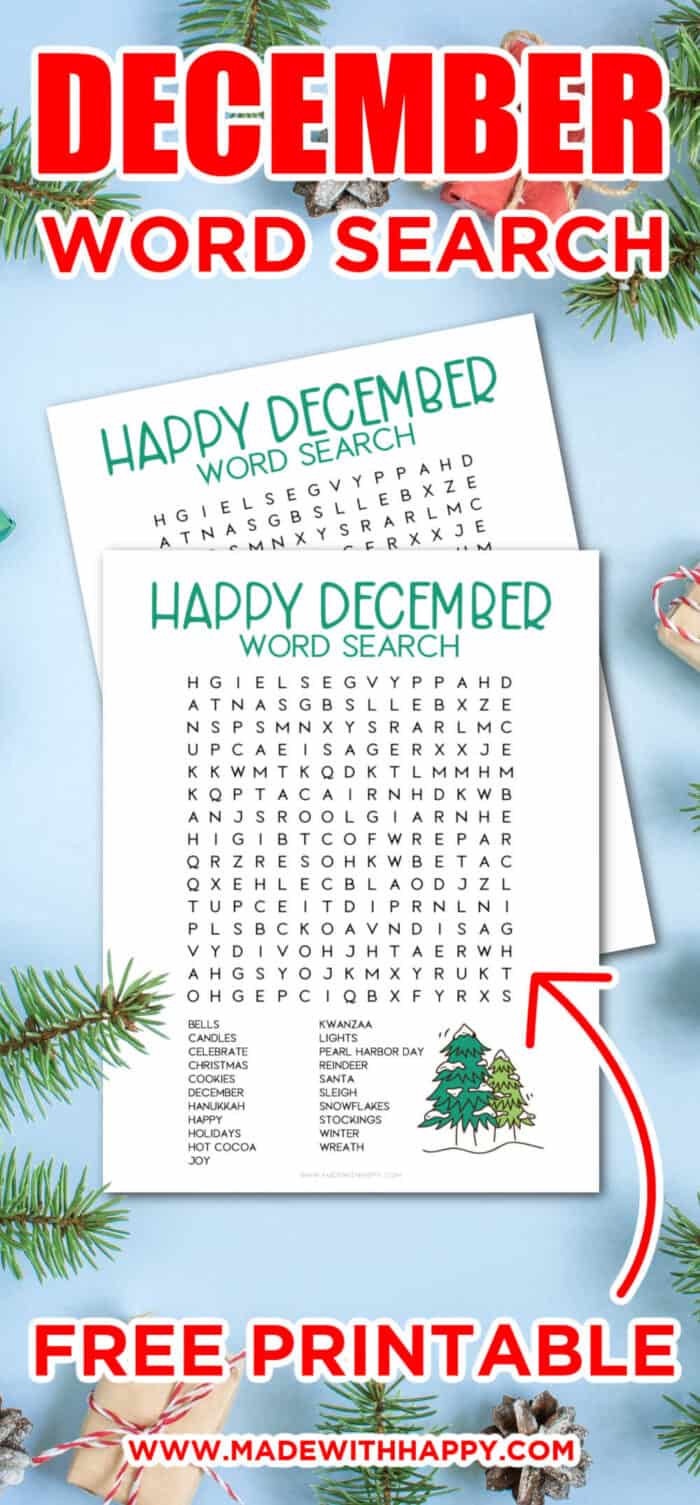 December Holiday word serch