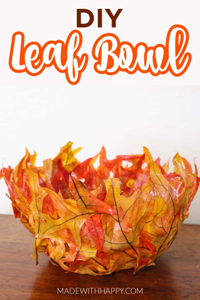 DIY-Leaf-Bowl