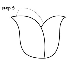 Draw a Rose Step 3