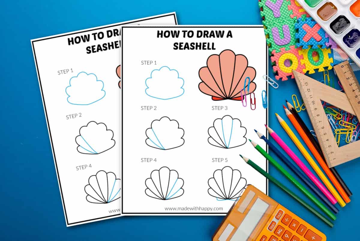 How To Draw Seashells