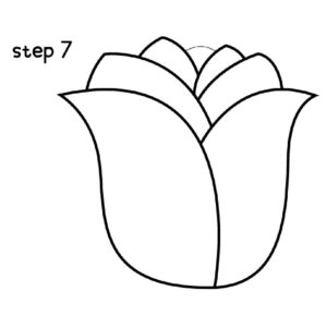 Draw Rose Step 7