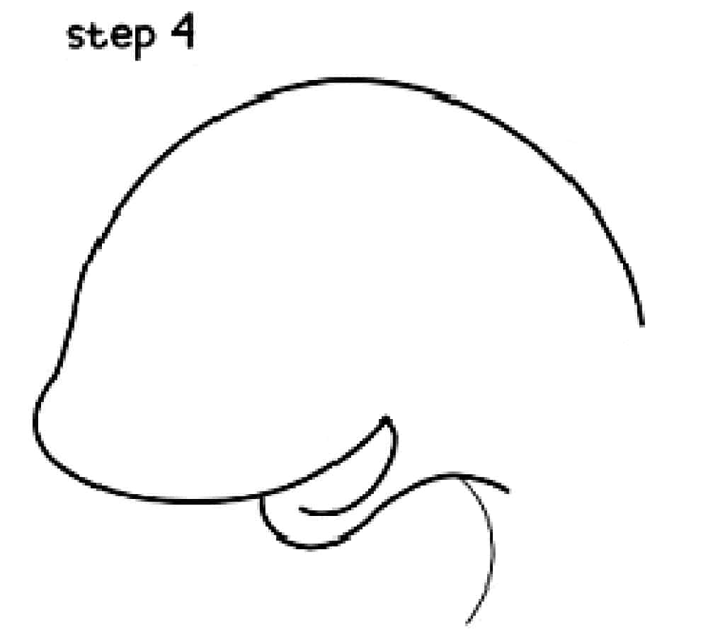 step 4 of shark drawings