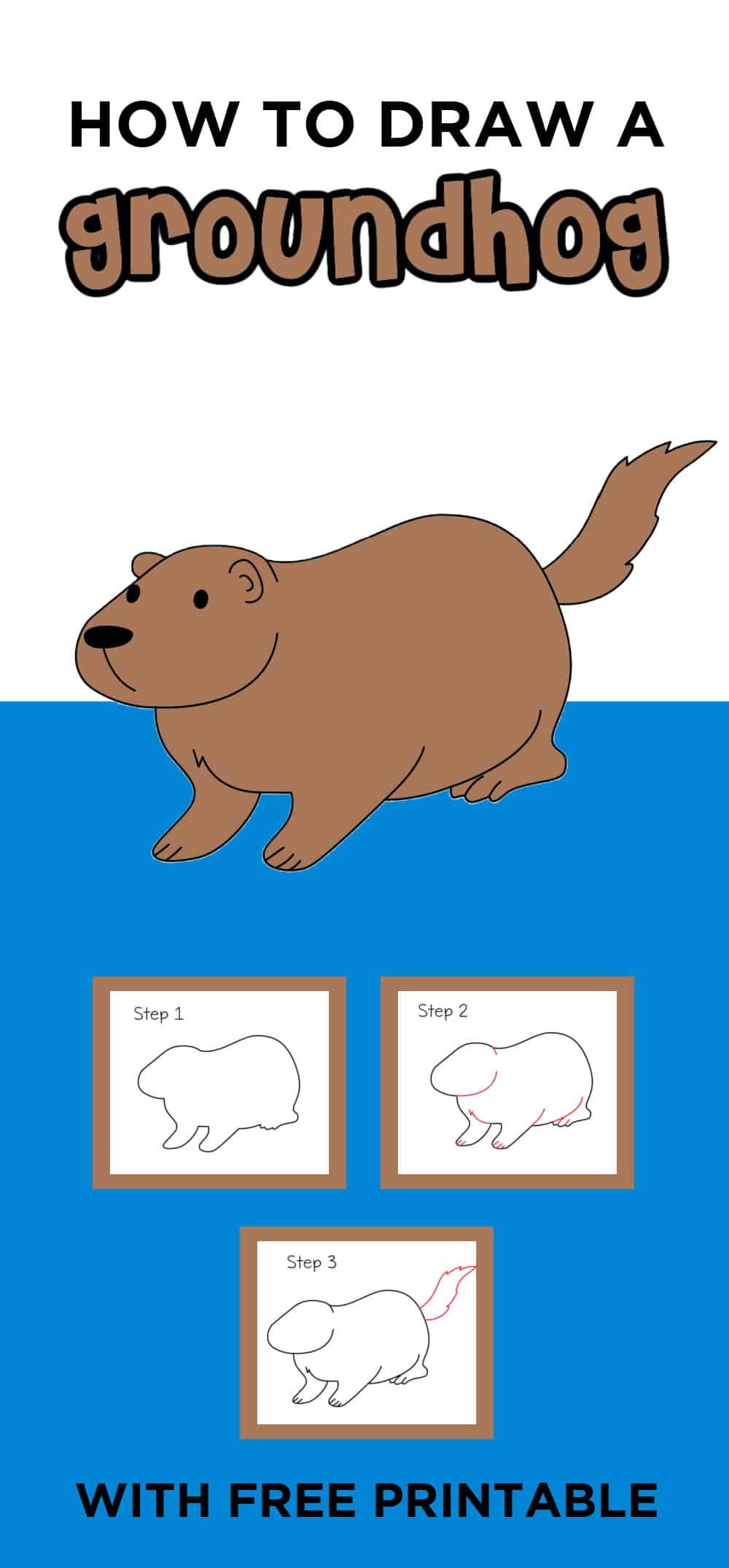 drawing of a groundhog