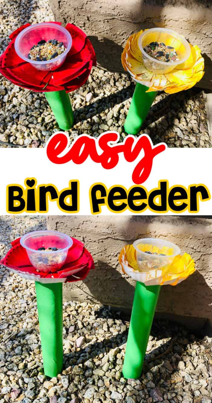 easy bird feeder