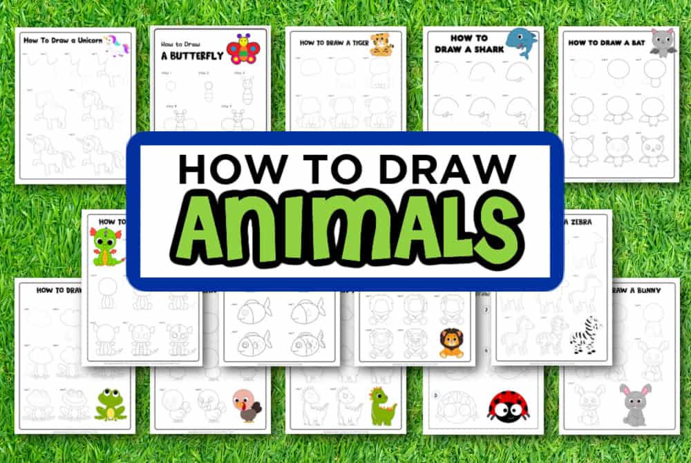 easy how to draw animals
