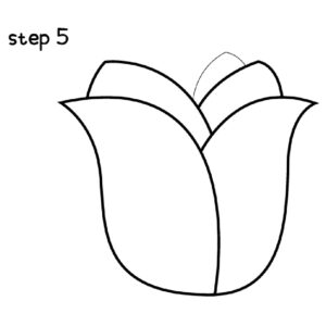 Easy Rose Drawing Step 5