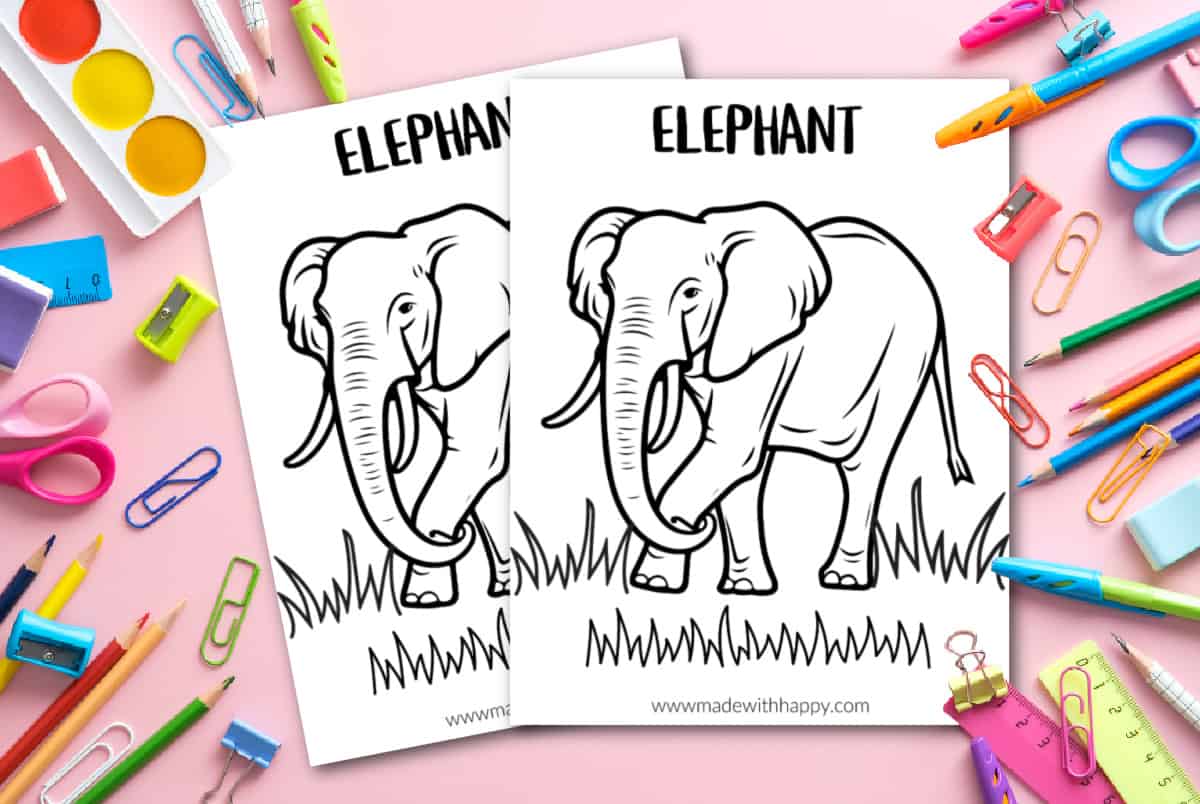 elephant color page