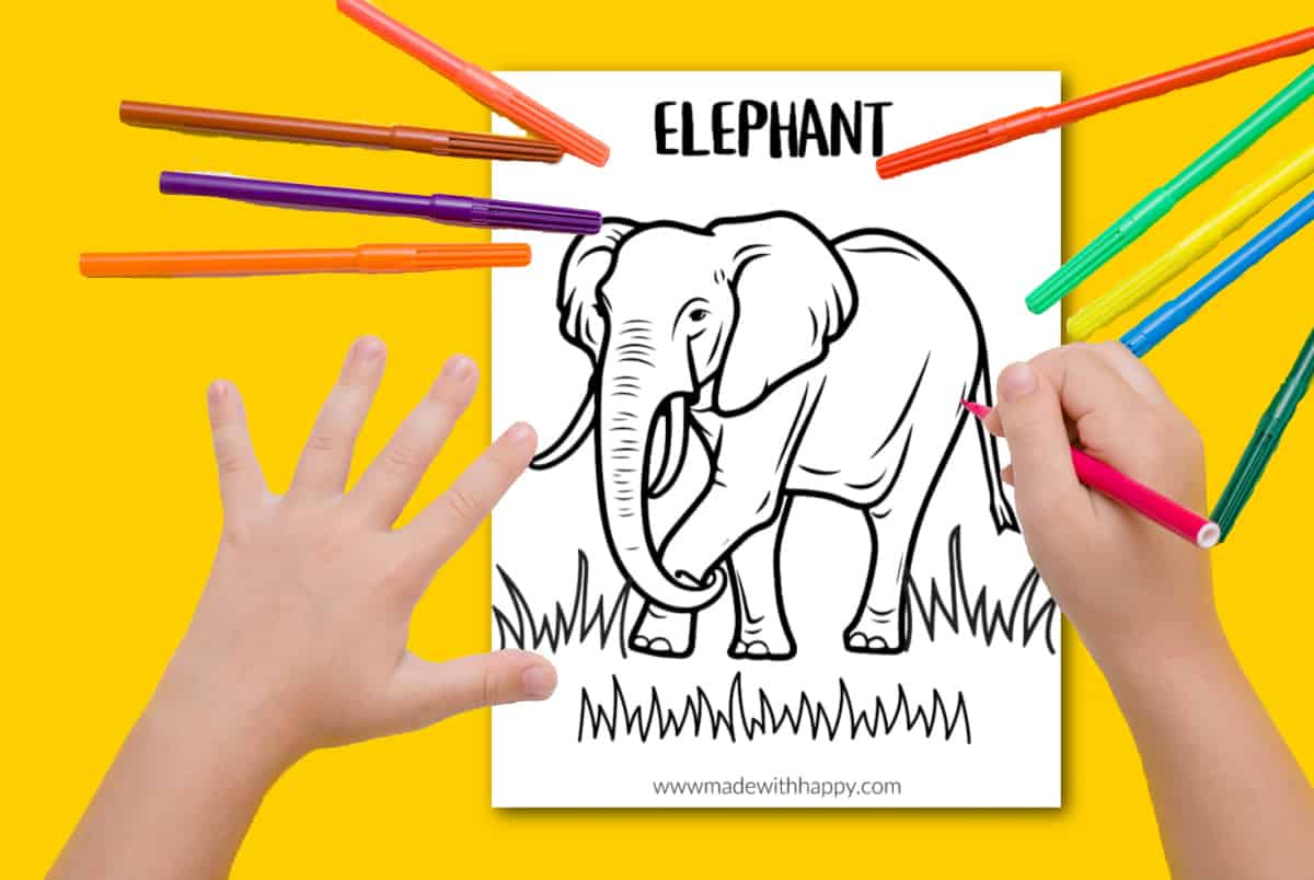elephant color sheet