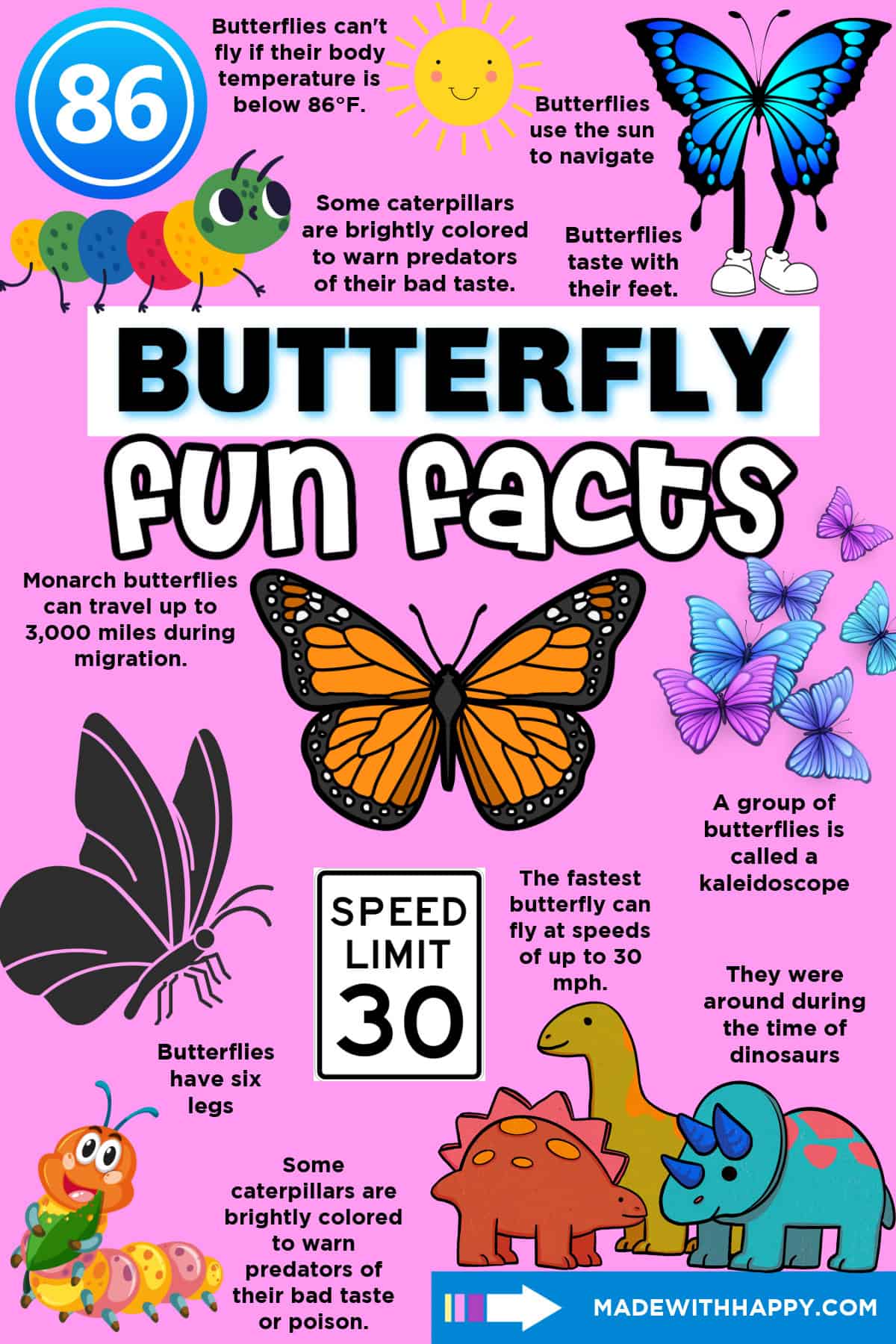 Facts About Butterflies