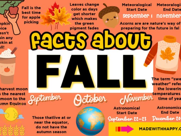 facts about Fall