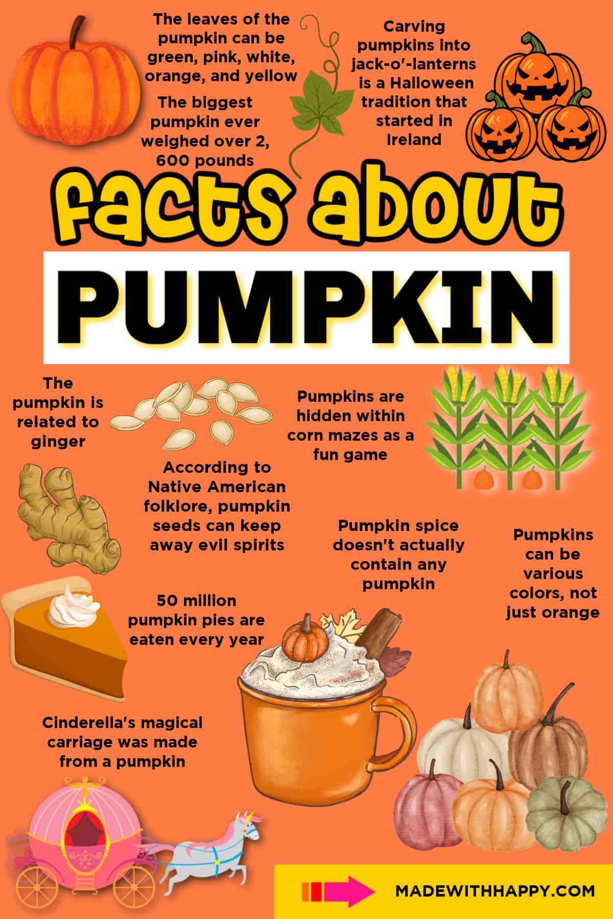 facts about pumpkin