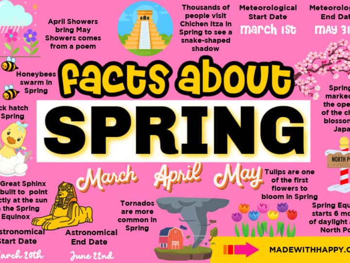 Facts About Spring