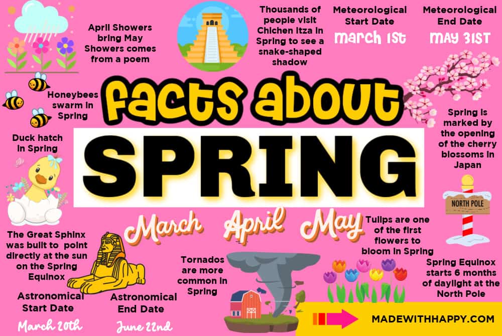 Facts About Spring