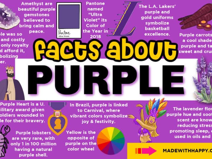 Facts about the color purple
