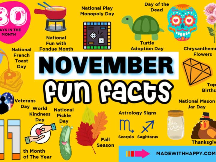 facts for november