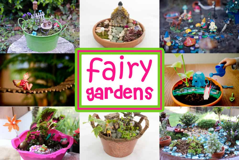 fairy gardens