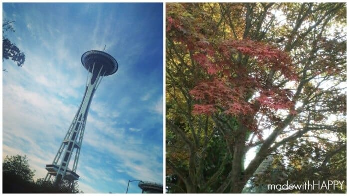 fall-in-seattle