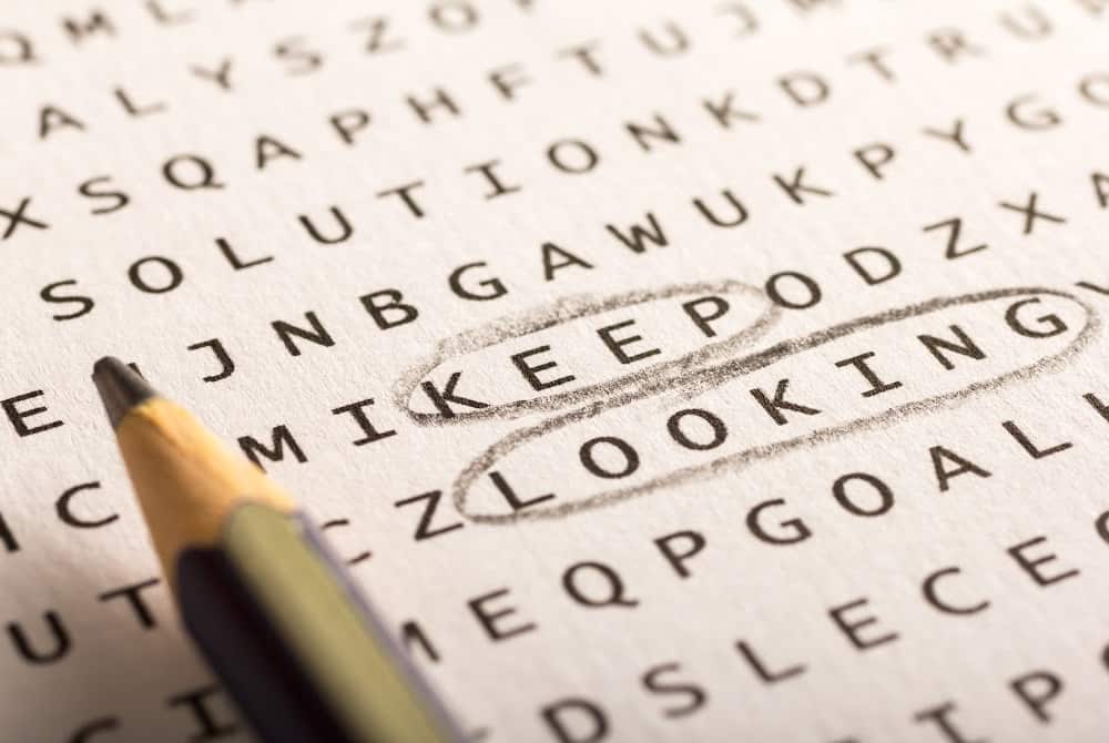 Fall Word Search Puzzle